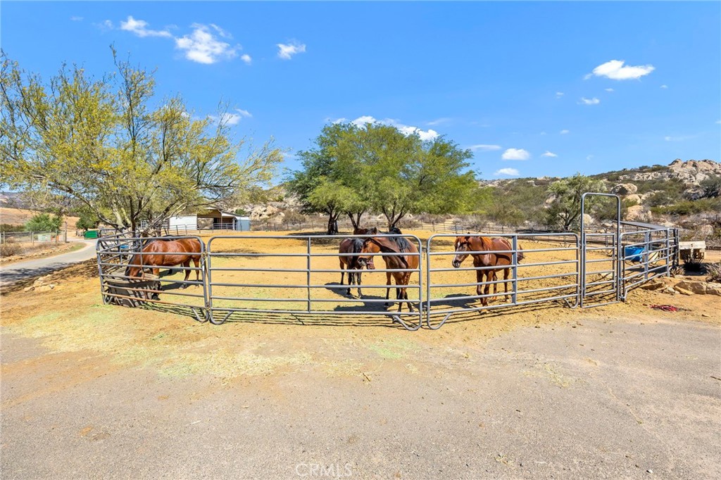 MLS #SW25188466 image #32