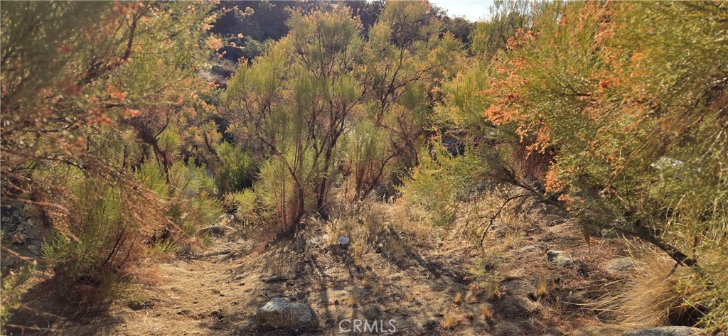 0 Burnt Valley Road
