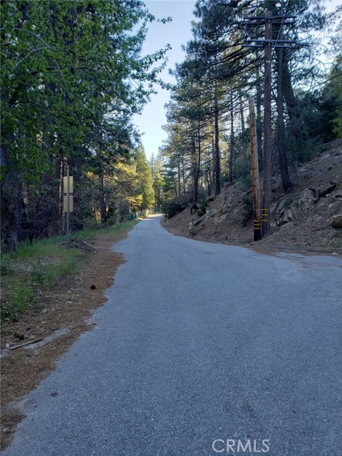 Detail Gallery Image 15 of 20 For 29531 Little Bear Creek Rd, Cedar Glen,  CA 92321 - – Beds | – Baths