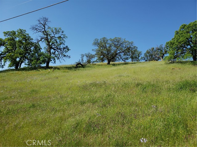 9767 Mirasol Way, La Grange, California 95329, ,Land,For Sale,9767 Mirasol Way,CRMC23065015