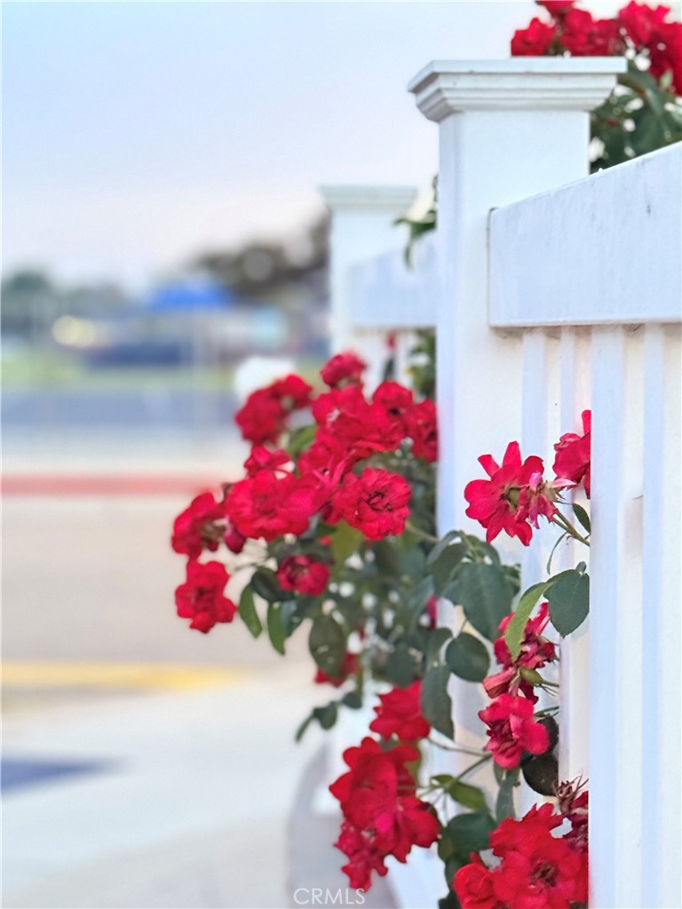 https://media.crmls.org/medias/93379be4-96d6-4d22-a9bc-08eee9531b1a.jpg?preset=X-Large