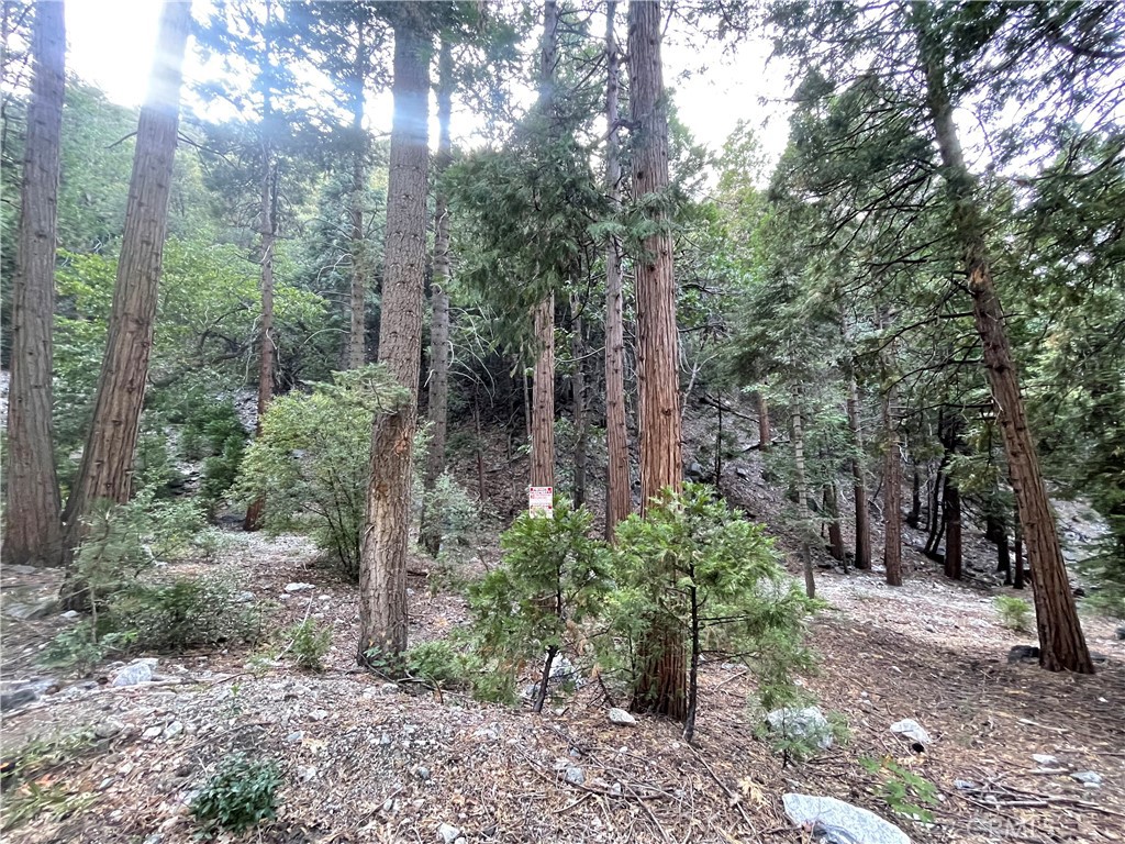 0 Canyon Drive, Forest Falls, CA 92339