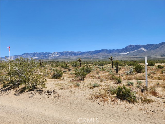 2 AC Foothill Rd, Lucerne Valley, CA 92356