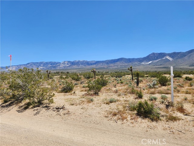 2 AC Foothill Rd, Lucerne Valley, CA 92356