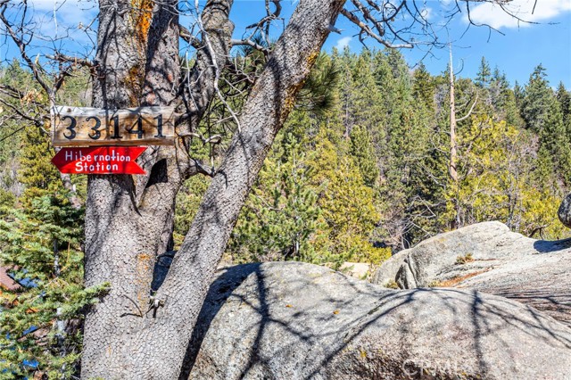 33141 Big Bear Lake Road, Running Springs, CA 92382