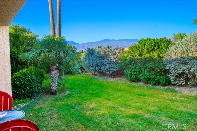 Detail Gallery Image 35 of 41 For 80071 Palm Circle Dr, La Quinta,  CA 92253 - 3 Beds | 2 Baths