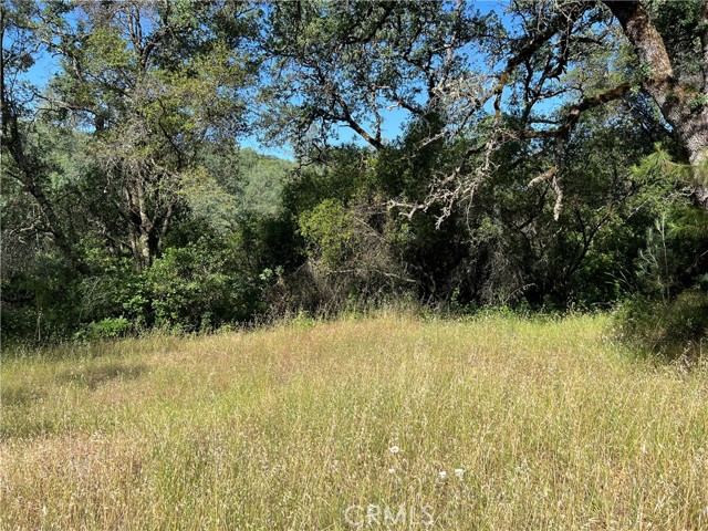 Detail Gallery Image 11 of 28 For 0 Rich Gulch Rd, Yankee Hill,  CA 95965 - – Beds | – Baths