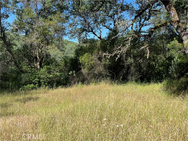 Detail Gallery Image 3 of 28 For 0 Rich Gulch Rd, Yankee Hill,  CA 95965 - – Beds | – Baths