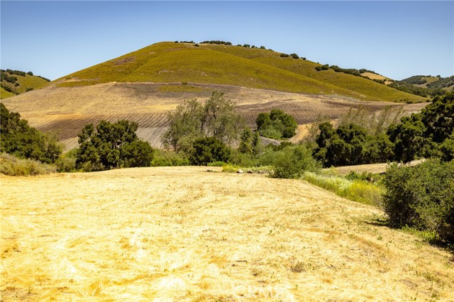 680 Spring Canyon Lane, Nipomo CA: https://media.crmls.org/medias/9345e835-4f61-4793-a92b-d0643ad18bcc.jpg