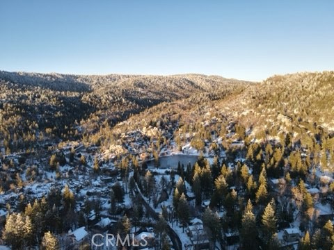 Detail Gallery Image 42 of 42 For 32765 Cougar, Arrowbear,  CA 92382 - 3 Beds | 1 Baths