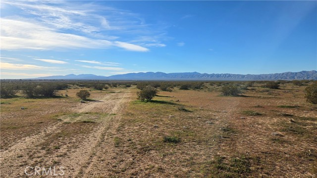 Front Image Thumbnail for CRSR26038379