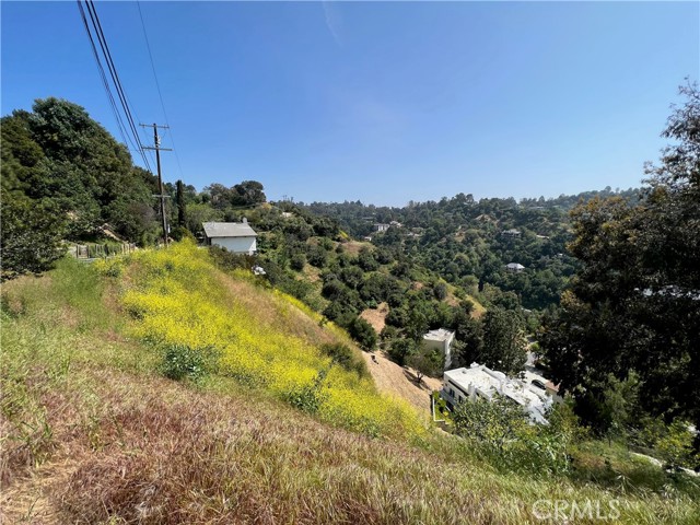 3643 Alta Mesa photo 4