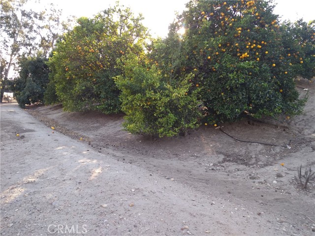 Detail Gallery Image 9 of 13 For 6947 Solano Verde Drive, Somis,  CA 93066 - – Beds | – Baths