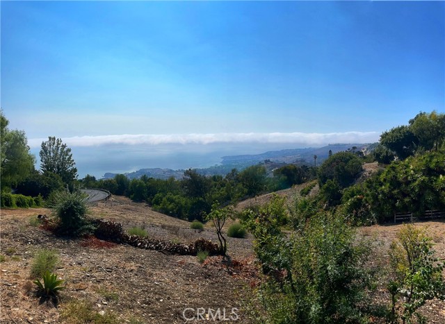 Catalina Island Views