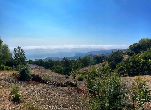 Catalina Island Views