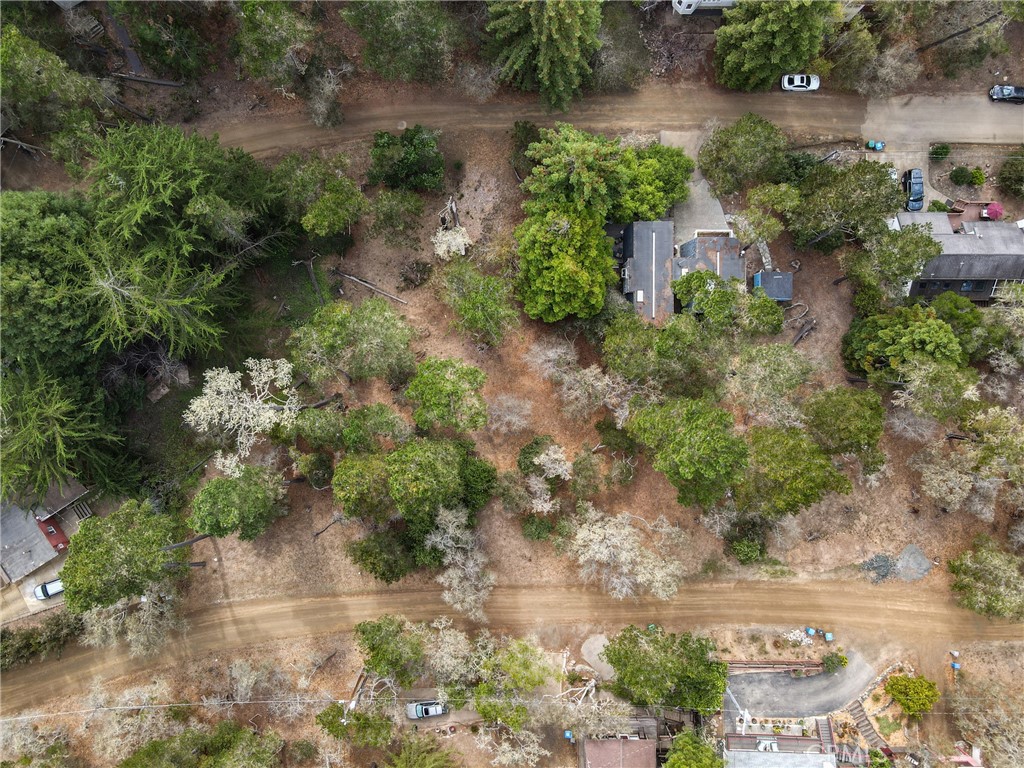 MLS #NS25231762 image #34