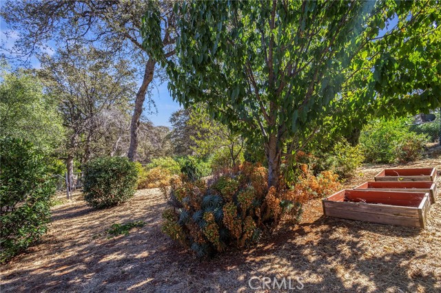 Detail Gallery Image 59 of 65 For 6292 Woodman Dr, Oroville,  CA 95966 - 3 Beds | 3 Baths