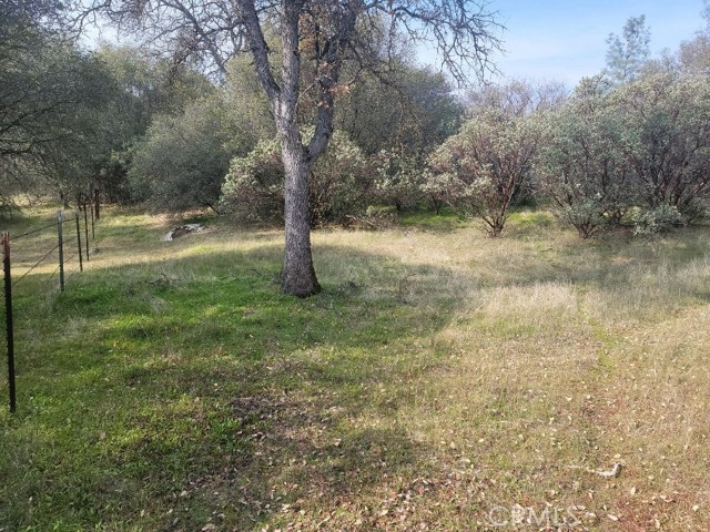 Detail Gallery Image 1 of 1 For 0 2.8 Ac Gold Nugget Ct, Coarsegold,  CA 93614 - – Beds | – Baths