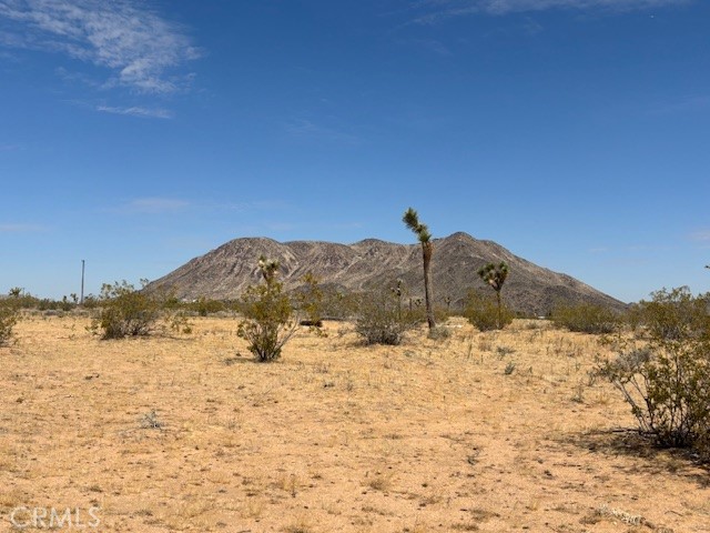 MLS #JT25102656 image #9