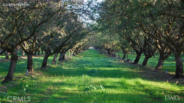 Detail Gallery Image 8 of 9 For 7190 Eucalyptus, Winton,  CA 95388 - 3 Beds | 2 Baths