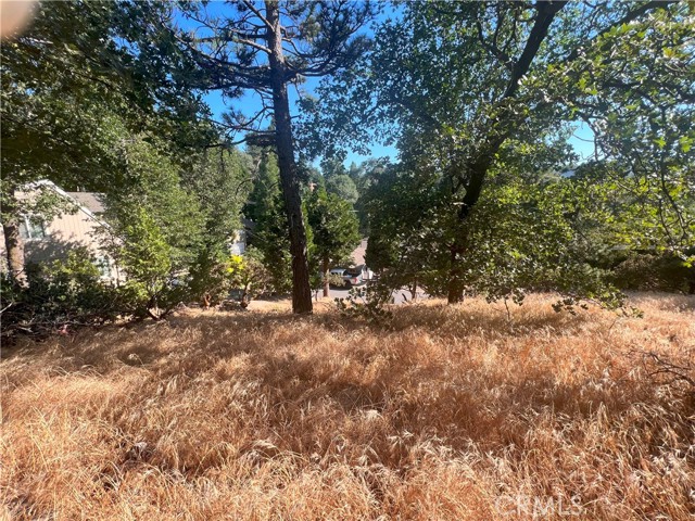 0 Arth Drive, Crestline, California 92325, ,Land,For Sale,0 Arth Drive,CRHD23124328