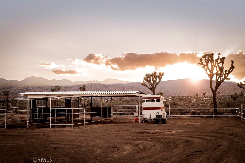 MLS #JT25252986 image #52