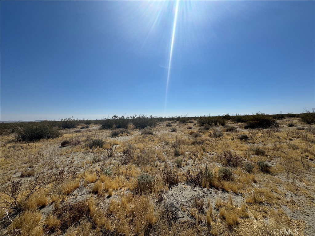 MLS #HD26136615 image #2