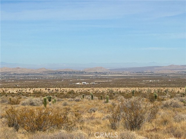 Llano, CA 93544