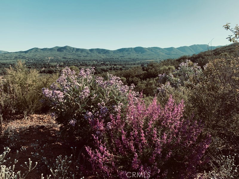https://media.crmls.org/medias/9398c7c7-2ca3-423c-9181-a0f14217c38c.jpg?preset=X-Large