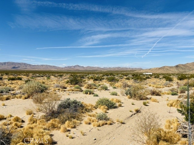 Image 2 of 5 For 0 041734203