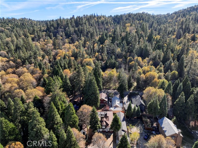 Detail Gallery Image 48 of 48 For 22849 Juniper, Crestline,  CA 92325 - 4 Beds | 3 Baths