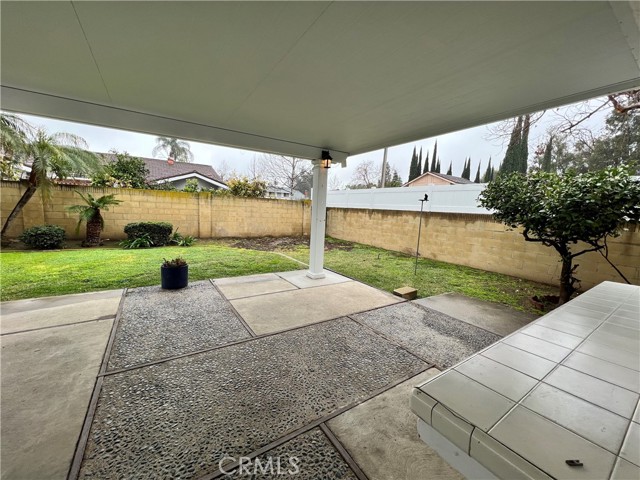 Ample backyard space with fruit and palm trees