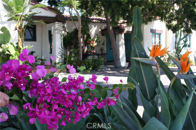 243 Avenida Madrid, San Clemente CA: https://media.crmls.org/medias/93aef61f-ea82-48fd-ae20-5cbaa3185634.jpg