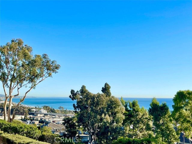 Detail Gallery Image 75 of 75 For 1 Cobalt Dr, Dana Point,  CA 92629 - 5 Beds | 4/1 Baths