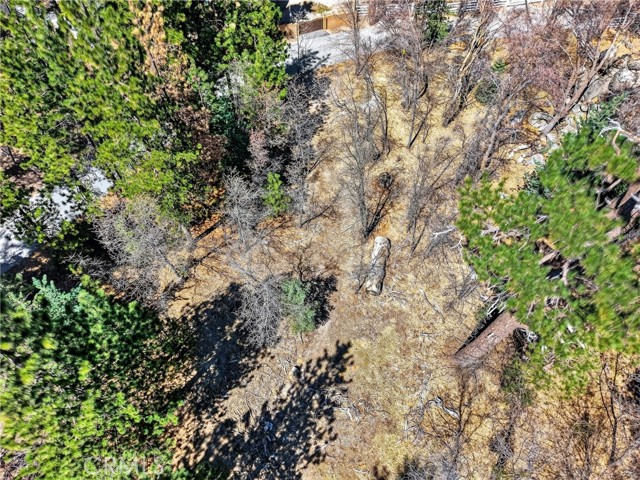 Detail Gallery Image 4 of 23 For 0 Cepu Rd, Running Springs,  CA 92382 - – Beds | – Baths