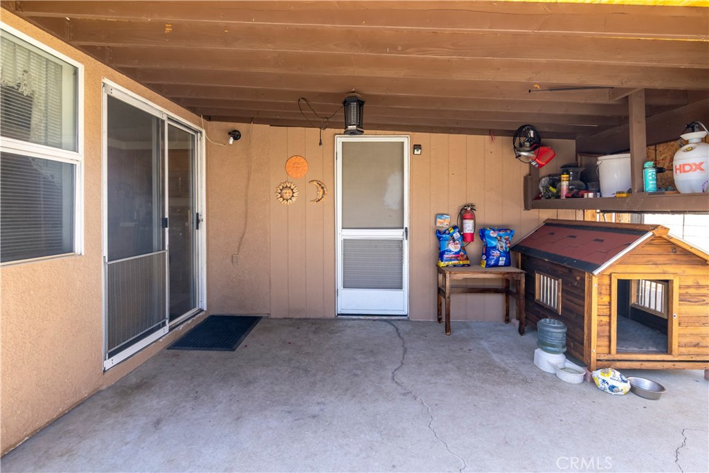 1115 White Tip Lane