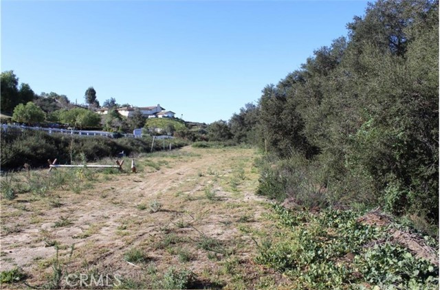 0 De Portola, Temecula, California 92592, ,Land,For Sale,0 De Portola,CRSW23154610