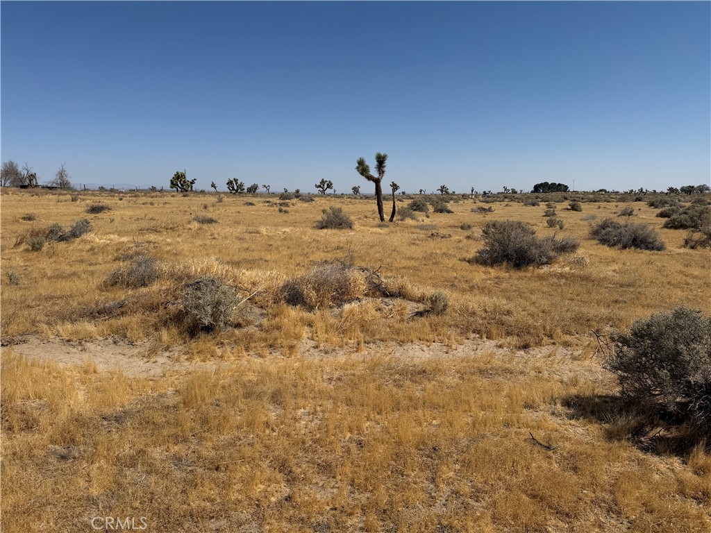 MLS #PW26133193 image #24