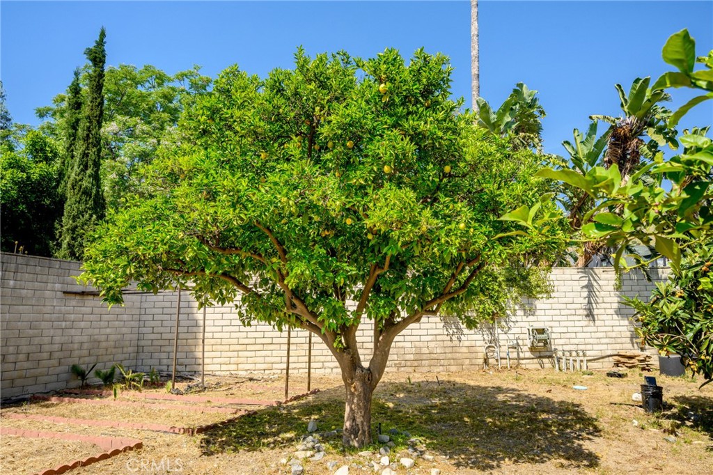 https://media.crmls.org/medias/93c6e39e-a76d-4d5e-b8ce-ff9566dab32d.jpg?preset=X-Large