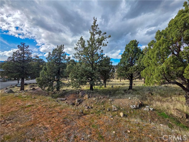 Detail Gallery Image 3 of 16 For 0 Driftwood, Weed,  CA 96094 - – Beds | – Baths