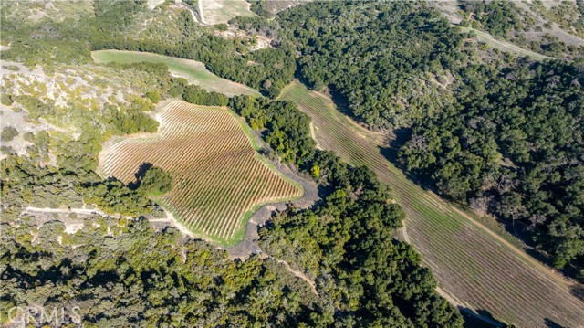 Detail Gallery Image 23 of 36 For 0 Adelaida Road, Paso Robles,  CA 93446 - – Beds | – Baths