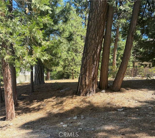 Front Image Thumbnail for CRIG26193966