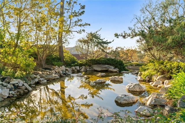 Beauty surrounds you in Cresta Verde