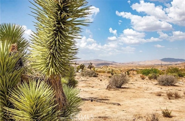 Detail Gallery Image 15 of 16 For 5545 Red Ryder, Pioneertown,  CA 92268 - – Beds | – Baths
