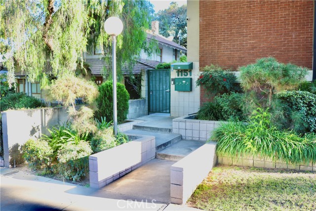 Front Image Thumbnail for CRWS25253641