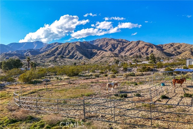 Detail Gallery Image 35 of 70 For 8949 Desert Willow Trl, Morongo Valley,  CA 92256 - 3 Beds | 2 Baths