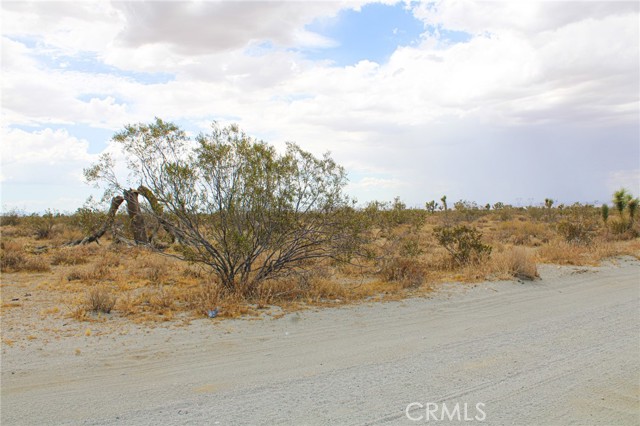 Image 3 for 0 Buckwheat, Pinon Hills, CA 92372