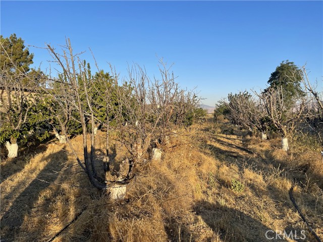 Detail Gallery Image 14 of 19 For 49750 Three Points Rd, Lancaster,  CA 93536 - 3 Beds | 2 Baths