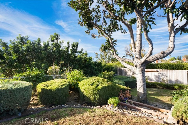 Image 40 of 70 For 24811 Spadra