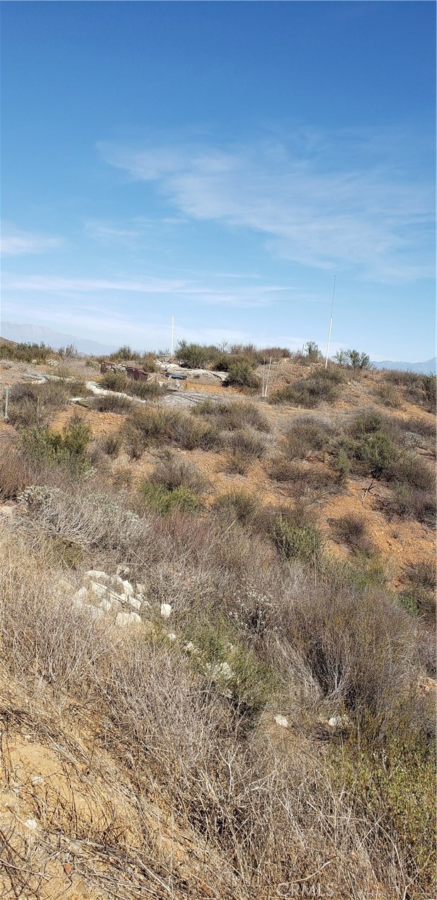 MLS #IV25264641 image #7